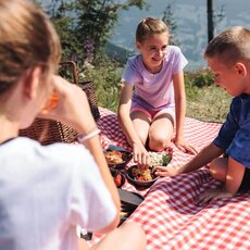 Picknick-am-Berg-Spieljoch-Fuegen-106