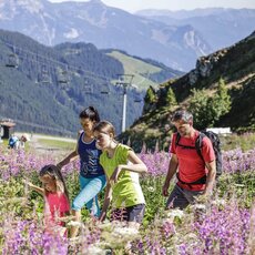 Barfusswanderweg-Spieljoch-Fuegen-7723