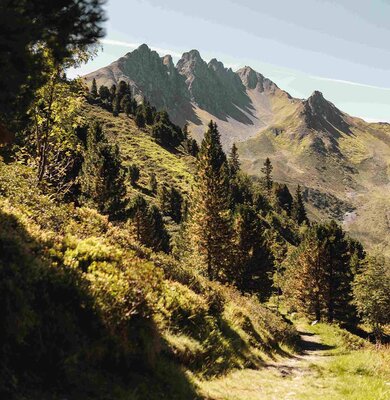 Biomasse-Spieljoch-Fuegen