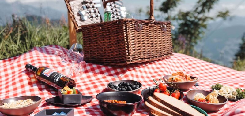 Picknick-am-Berg-Spieljoch-Fuegen-99