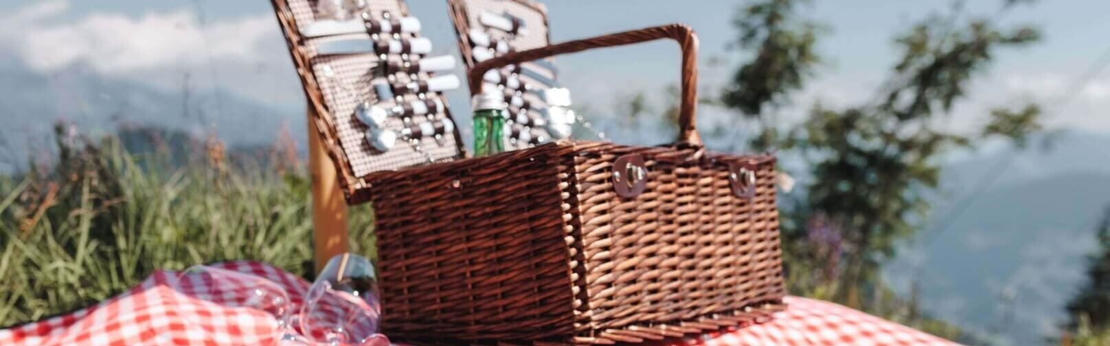 Picknick-am-Berg-Spieljoch-Fuegen-99