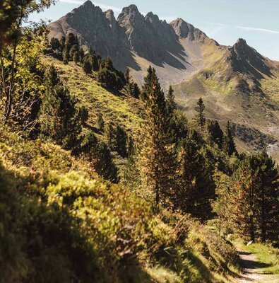 Hiking-Spieljoch Fuegen-49