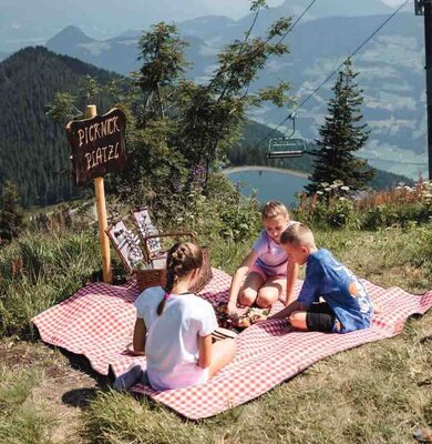 Picknick-am-Berg-Spieljoch-Fuegen-108
