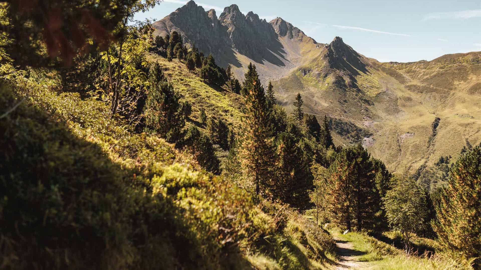 Wandern-Spieljoch Fuegen-49